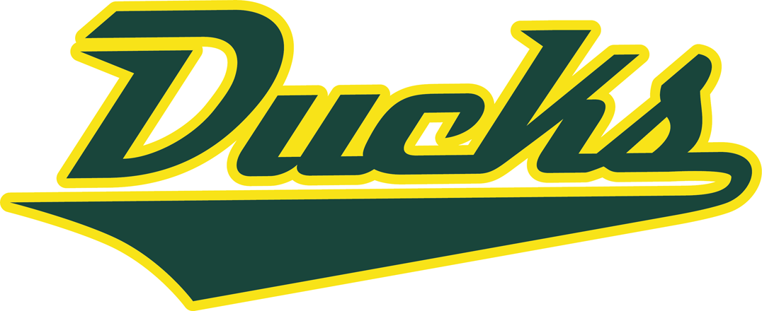 Oregon Ducks 2013-Pres Wordmark Logo iron on transfers for T-shirts